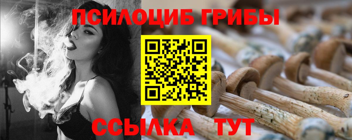 Галлюциногенные грибы Psilocybe  Вход с VPN  Камышлов 