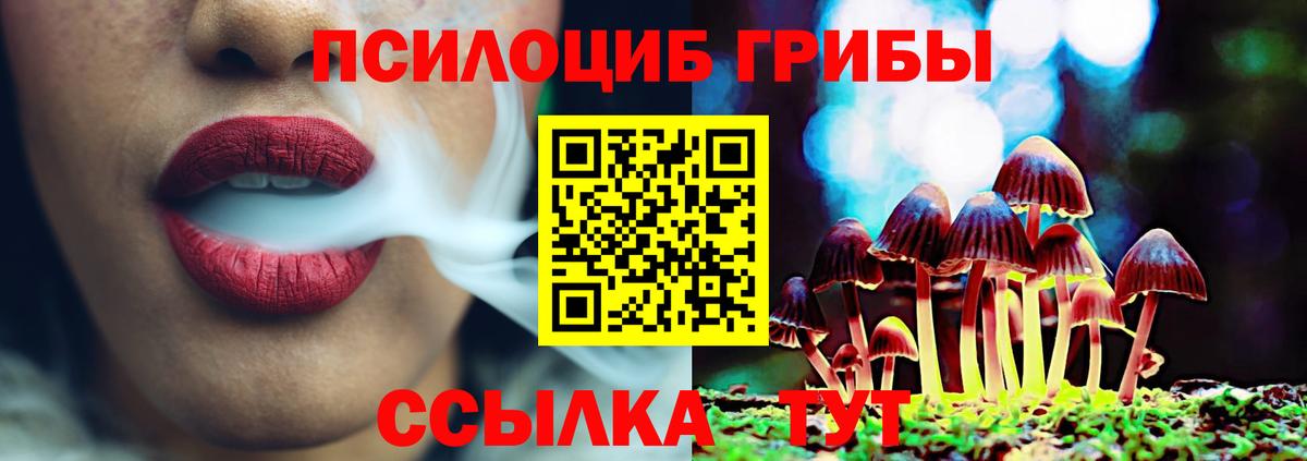 Галлюциногенные грибы GOLDEN TEACHER Камышлов